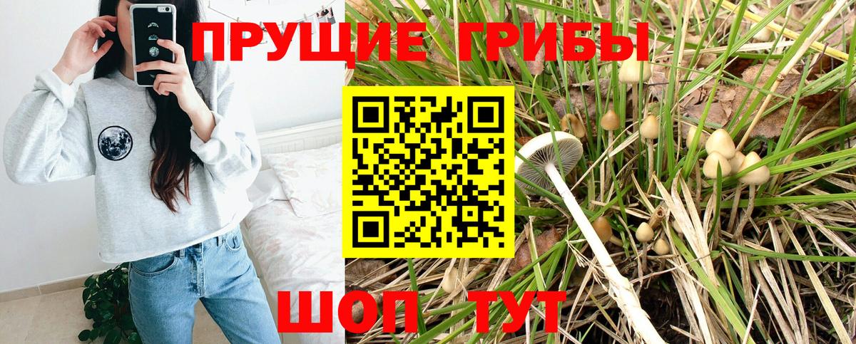 Галлюциногенные грибы Magic Shrooms Елизово